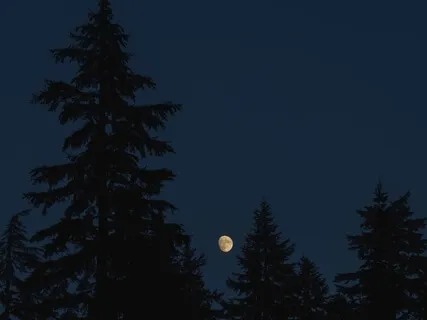 Sleep Affirmations For Feeling Safe