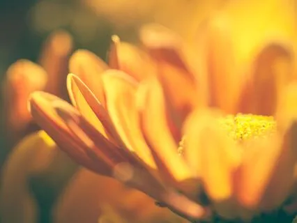 Sleep Affirmations For Miracles, Abundance And Success