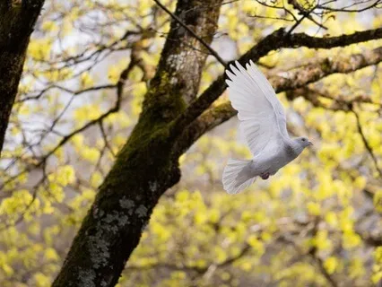 Sleep Affirmations For Overcoming Addiction