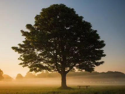 Sleep Affirmations For Self Love + Health