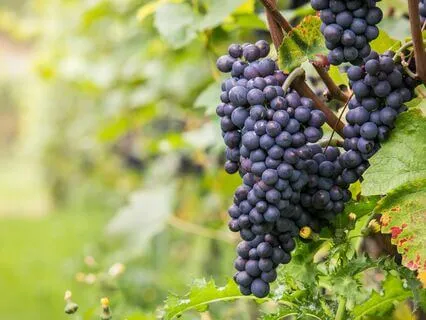 Sleep Affirmations For Wealth And Abundance