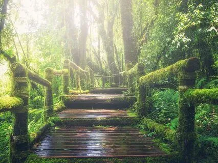 Sleep Affirmations To Believe In Yourself