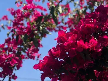 Sleep Affirmations To Feel Worthy