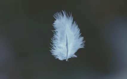 Sleep Aid: Enveloped in Warm Forest Air