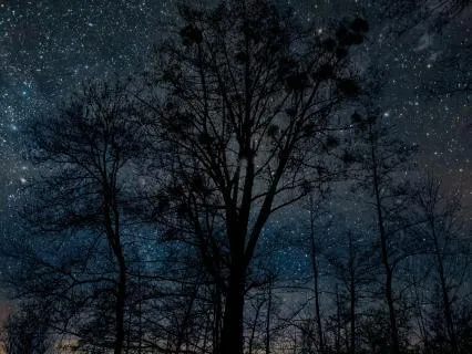 Sleep All Night Gamma Wave