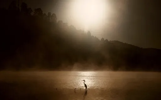 Sleep Ambience - Be Calm & Fall Asleep