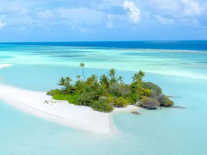 Sleep And Attract Prosperity & Wealth