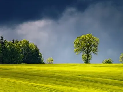 Sleep And Heal: Nighttime Relaxation