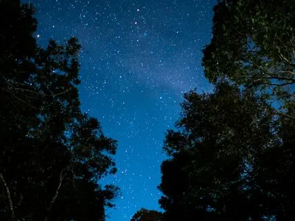 Sleep And Let Go: Nighttime Stress Relief