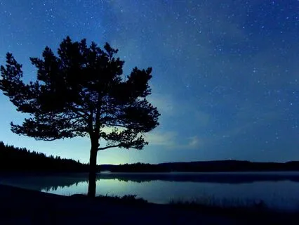 Sleep And Let Go: Release Daily Stress