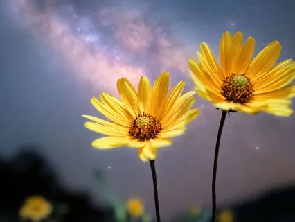 Sleep And Receive Energy Body Healing Through Your Third Eye