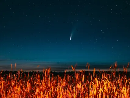 Sleep & Relaxation Through Gratitude