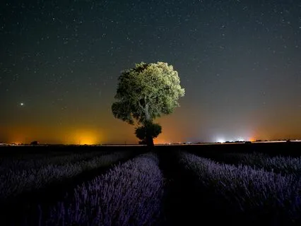 Sleep and Unwind: Peaceful Night Sounds