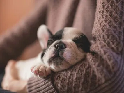 Sleep Meditation To Release Anxiety And Feel Safe