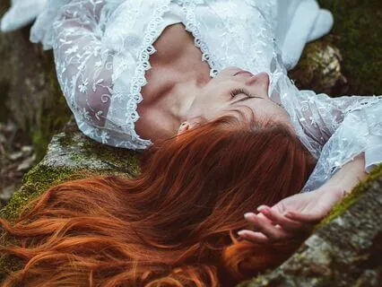 Sleep At Night In The Forest