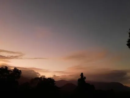 Sleep Australia: Nature’s Night Symphony - 8 hours