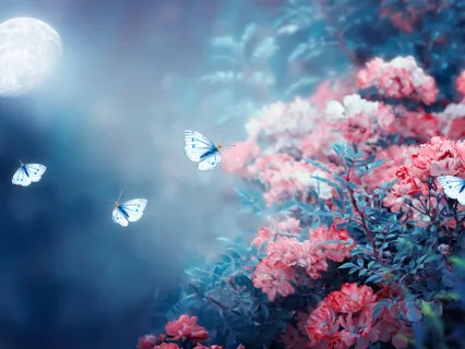 Sleep Better - Guided Meditation