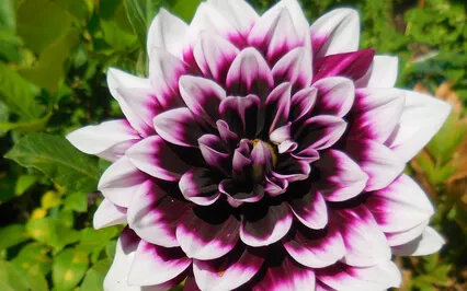 Sleep Better Using Meditation & Awareness 