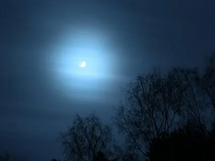 Sleep Better With Gratitude Before Bed