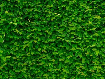 Sleep Bliss - A Melodic Journey For Anxiety Relief