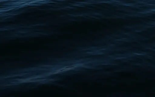 Sleep By The Ocean...