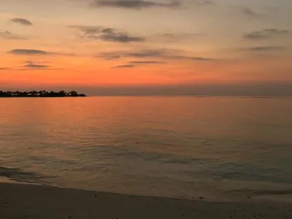 Sleep By The Sea, 8 Hour Meditation & Sound Bath