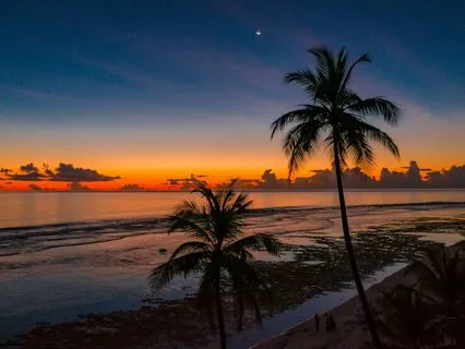 Sleep Comes Natural: Singing Bowls And Ocean Waves