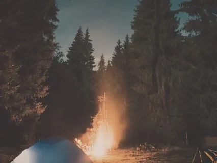 Sleep Countdown 100 To 0 | Calming Voice & Campfire Sounds