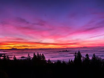 Sleep Countdown (1000-0) Voice Only (Choose Your Ambience)