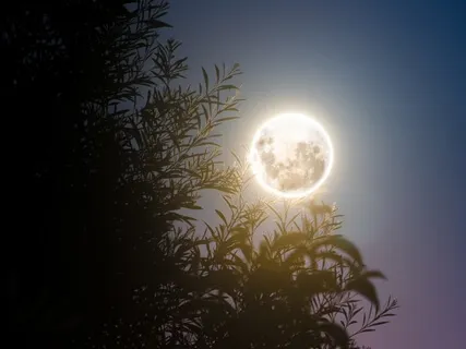 Sleep Deep, Beat Insomnia