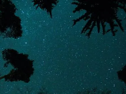 Sleep Deep With Binaural Beats