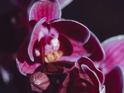 Sleep Deeper With Delta Frequencies