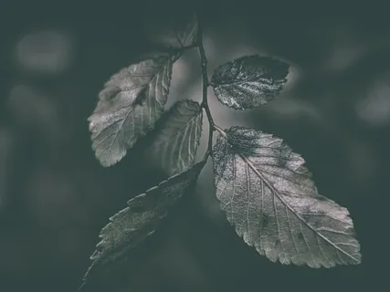 Sleep Deeply & Peacefully