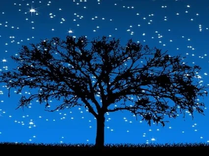 Sleep Deeply And Restore