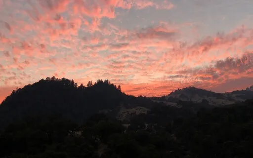 Sleep Deeply By Releasing Expectations