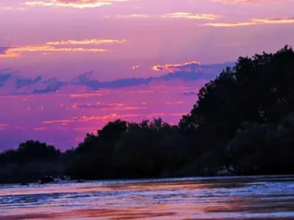 Sleep Deeply, Dear One