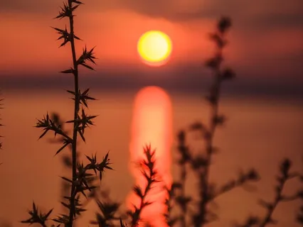 Sleep Deeply In Restorative Sleep