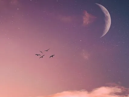 Sleep Deeply - Nighttime Harmony