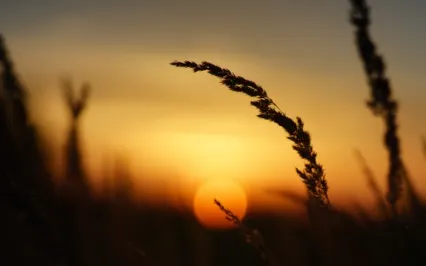 Sleep Deeply With Crystal Singing Bowls: Calming Sound Bath