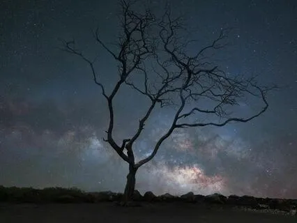 Sleep Easy: Calm Your Mind, Breathe Deeply