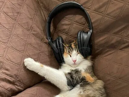 Sleep Easy With Soothing 7 Crystal Singing Bowls Music