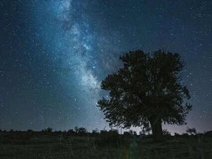 Sleep Expert Devin Burke On Getting The Best Sleep|GSP Ep 73