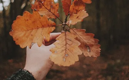 Sleep - Find Patience