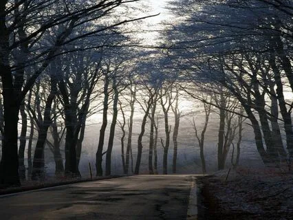 Sleep & Flow - Insomnia Relief