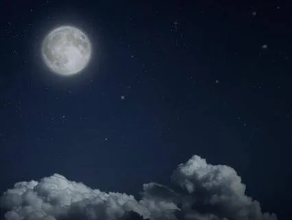 Sleep For Financial Anxiety: The Ledger Of Trust