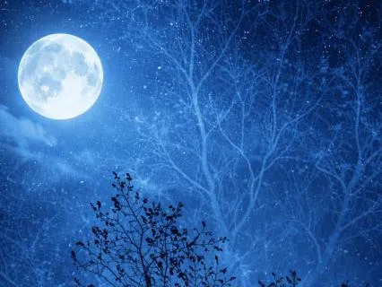 Sleep: For Nighttime Distress (SOS)