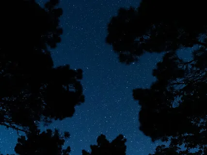 Sleep Frequency - Relaxing Musical Tones