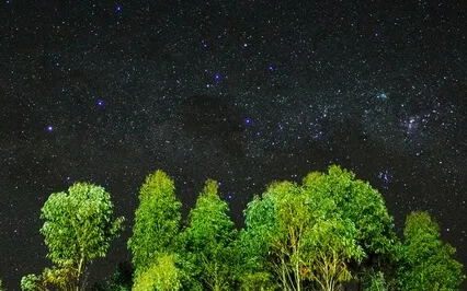 Sleep Healing [Try Listening For 5 Minutes] Sleep Music