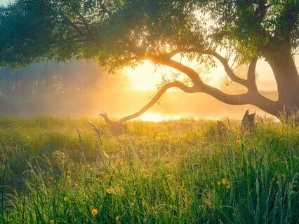 Sleep Meditation For Panic Attacks