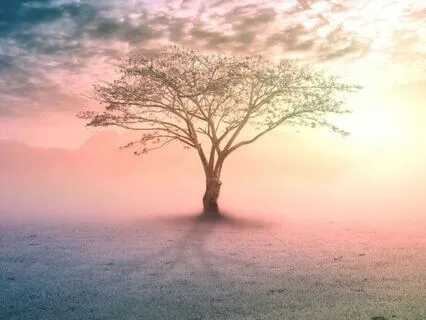 Sleep Improve Self Esteem